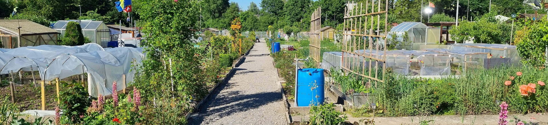 Familiengarten Blumenwiese