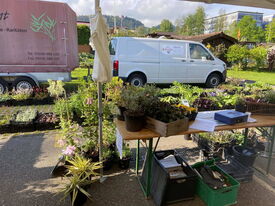 Familiengarten Bildweiher Setzlingsmarkt